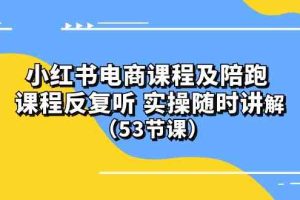(10170期)小红书电商课程及陪跑 课程反复听 实操随时讲解 (53节课)