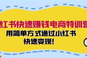 小红书快速赚钱电商特训营:用简单方式通过小红书快速变现!(55节)