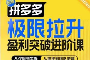 拼多多极限拉升盈利突破进阶课，​从算法到玩法，从玩法到团队搭建，体系化系统性帮助商家实现利润提升