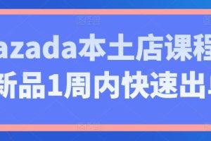 Lazada本土店课程，新品1周内快速出单