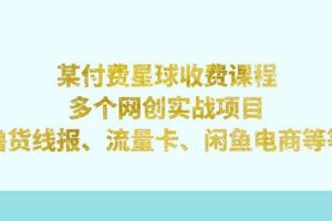 某付费星球课程：多个网创实战项目，撸货线报、流量卡、闲鱼电商等（文档非视频）