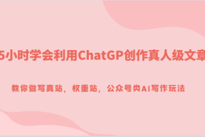 5小时学会利用ChatGP创作真人级文章,教你做写真站,权重站,公众号类AI写作玩法