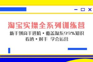 淘宝实战宝典+淘系全系列进阶，初级到进阶，覆盖淘系99%的知识，看透对手自然会运营