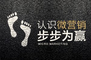 英盛网价值19.8元收费课程《认识微营销，步步为赢》全一集（石建鹏）