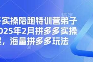 拼多多实操陪跑特训营弟子班，2025年2月拼多多实操课程，海量拼多多玩法