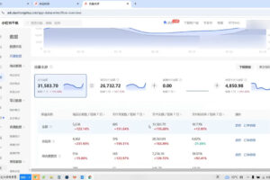 戴小胖·小红书从0-1实操课（2023-2025）