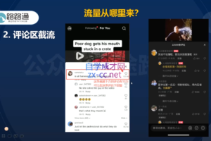 路路通·跨境TikTok全套课程（更新31期）