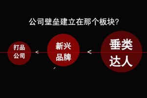 陈十亿·2025全域起号10倍ROI打法课