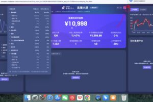 久久疯牛·打造运营型主播（更新3月）