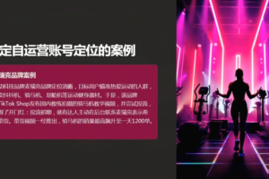 老吴·TikTok跨境电商新手起号与运营全攻略