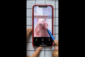 付老师·拍摄剪辑修图AI工具全套课程