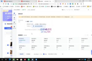 齐论拼多多vip课程（更新2月）