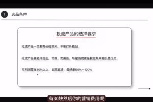 炳森跨境·TikTokShop