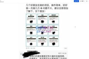 君哥·IP合伙人知识付费虚拟项目（更新）