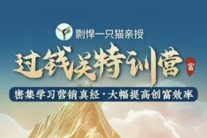 剽悍一只猫·过钱关特训营