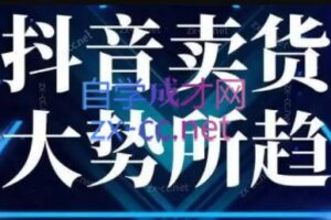 董老板六边形千川运营（6月+12月）