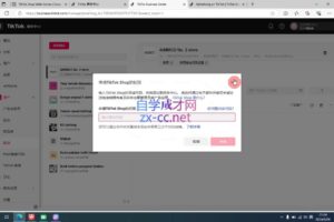 万三老师·Tiktok短视频广告投放