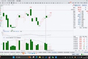 倍增计划·大宗商品期货复盘与计划202411