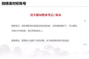 灵姗老师·小红书虚拟店铺课