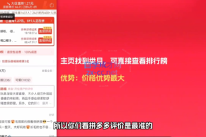 叶璞老师·小红书店铺变现（AI升级版）