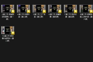 大刘老师·实体流量运营课