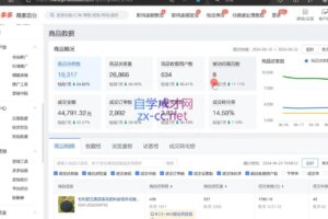 大麦老师·拼多多单品爆款打造课程（更新6月）