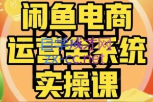 铁逸潇·闲鱼电商开店运营VIP实操课