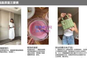 飞鱼跨境·2023TikTok达人实操训练（个人版）