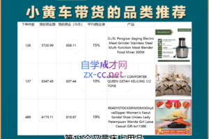 黑冰·海外短视频带货