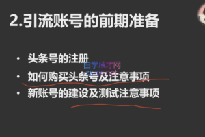 半糖·头条引流实战营2202期，价值2699元