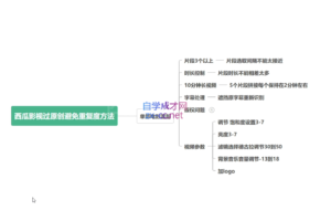 懒人领域·今日头条项目玩法，价值800元