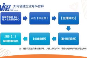 点金手·视能会，价值15800元