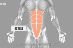 keep健身运动43套会员视频合集