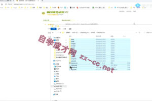 新纪元seovip课程：专注内页排名和流量提升特训营