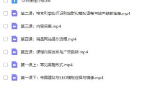 2020附子黑帽SEO视频教程 快速收录霸屏