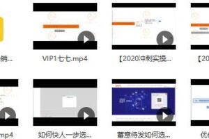 淘宝运营冲刺实战VIP课程 电商淘店14天单品打爆推广操作(价值4288)无水印