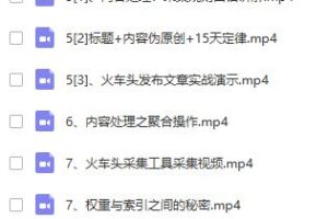 逆冬黑帽SEO教程,快速打造高权重网站(2020新)