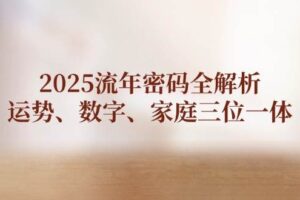 (14466期)2025流年密码全解析,运势、数字、家庭三位一体