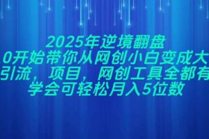 (14473期)2025年逆境翻盘,从0开始带你从网创小白变成大佬,引流,项目,网创工…
