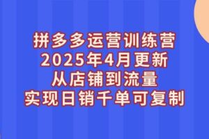 (14469期)拼多多运营训练营2025年4月更新,从店铺到流量,实现日销千单可复制