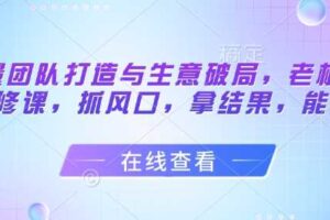 流量团队打造与生意破局，老板流量必修课，抓风口，拿结果，能落地
