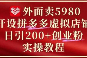 外面卖5980开设拼多多虚拟店铺：单日引流200+创业付费粉实战教程