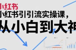 小红书引流实操课，从小白到大神