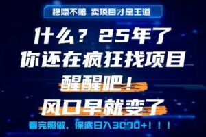 什么？25年你还在疯狂找项目做，醒醒吧，看完这些你全都懂了！【揭秘】