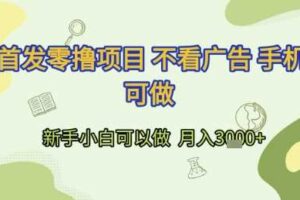 首发零撸项目 不看广告 手机可做 新手小白可以做  月入3k+【揭秘】
