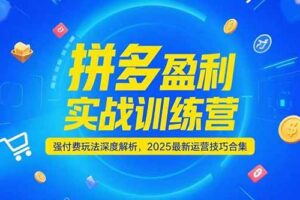 (15183期)拼多多盈利实战训练营,强付费玩法深度解析,2025运营技巧合集-更新6月