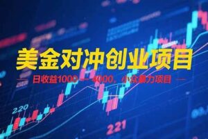 (15187期)美金对冲创业项目,日收益 1000 – 4000,小众暴力项目
