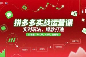 拼多多实战运营课，实时玩法，爆款打造，改销量，补大单，AB单，直播等（更新2025月）