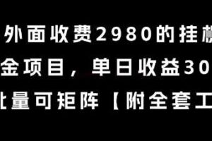 外面收费2980的挂G撸美金项目，单日收益30+美金，可批量可矩阵【揭秘】