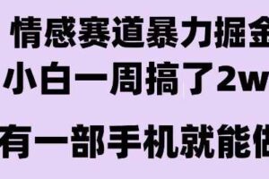 情感暴力掘金项目，新人操作一周挣了2W，长期稳定小白可做【揭秘】
